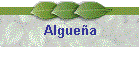 Alguea